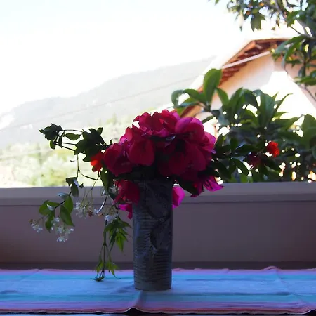 Eolos With Private Parking Apartamento *